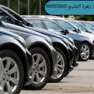  خدمه فاليه باركن فى الكويت