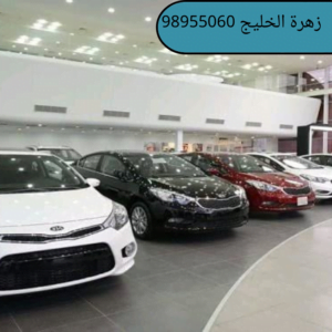  خدمه فاليه باركن فى الكويت